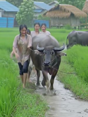 ต่างจังหวัด