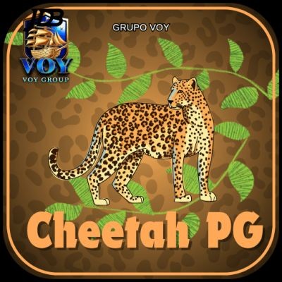 cheetahpg cheetahpg